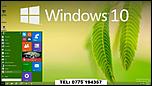 windows-10.jpg